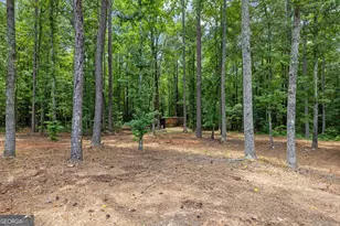 359 Trammell Rd, Moreland, GA 30259 - Photo 104