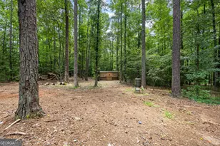 359 Trammell Rd, Moreland, GA 30259 - Photo 108