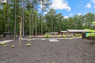 359 Trammell Rd, Moreland, GA 30259 - Photo 94