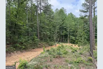 0 Mt. Sinai #LOT 9, Lula, GA 30554 - Photo 52