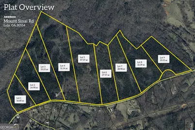 0 Mt. Sinai #LOT 9, Lula, GA 30554 - Photo 2