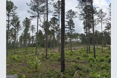 0 Mt. Sinai #LOT 9, Lula, GA 30554 - Photo 46