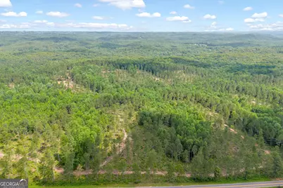 0 Mt. Sinai #LOT 9, Lula, GA 30554 - Photo 18