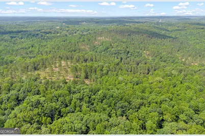 0 Mt. Sinai #LOT 9, Lula, GA 30554 - Photo 12