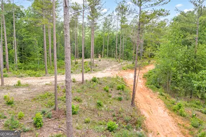 0 Mt. Sinai #LOT 9, Lula, GA 30554 - Photo 28