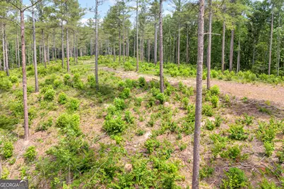 0 Mt. Sinai #LOT 9, Lula, GA 30554 - Photo 34