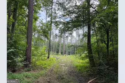 0 Mt. Sinai #LOT 9, Lula, GA 30554 - Photo 58