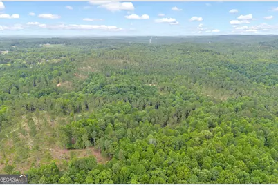 0 Mt. Sinai #LOT 9, Lula, GA 30554 - Photo 42