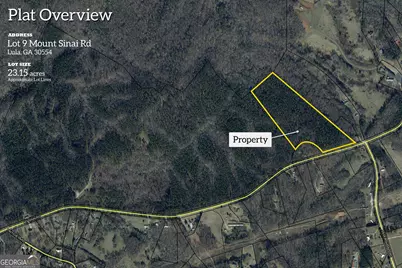 0 Mt. Sinai #LOT 9, Lula, GA 30554 - Photo 1