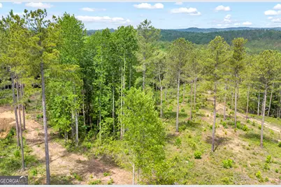0 Mt. Sinai #LOT 9, Lula, GA 30554 - Photo 38