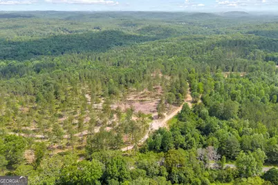 0 Mt. Sinai #LOT 9, Lula, GA 30554 - Photo 8