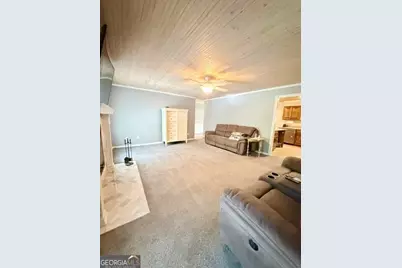 15 Briarwood Lane, Newnan, GA 30265 - Photo 20
