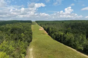 0 Hwy 57, Mcintyre, GA 31054 - Photo 1