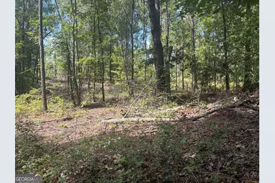 0 Highway 57, Mcintyre, GA 31054 - Photo 10