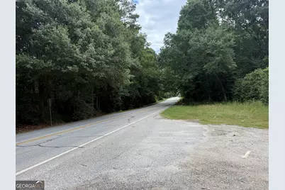 Hwy 29, Grantville, GA 30220 - Photo 2