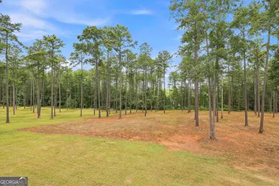 425 Ethridge Mill Rd, Griffin, GA 30224 - Photo 44