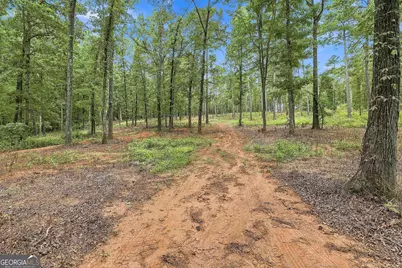 425 Ethridge Mill Rd, Griffin, GA 30224 - Photo 48