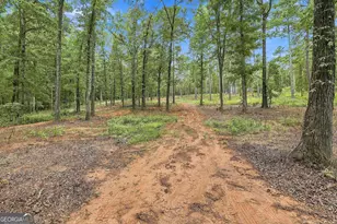 425 Ethridge Mill Rd, Griffin, GA 30224 - Photo 48