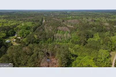 0 Beavers Road, Grantville, GA 30220 - Photo 10