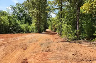 646 Shelnut Blvd, Locust Grove, GA 30248 - Photo 2
