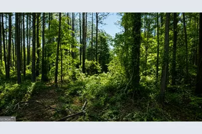 0 Deerwood Trail, Dublin, GA 31021 - Photo 4