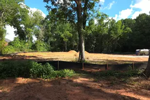 1009 Moseley Rd, Stockbridge, GA 30281 - Photo 4