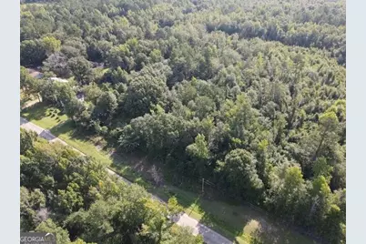 74 Piney Grove Road, Midville, GA 30441 - Photo 18