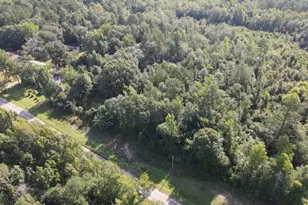 74 Piney Grove Rd, Midville, GA 30441 - Photo 18