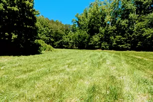 169 E Vineyard Rd, Hayesville, NC 28904 - Photo 16