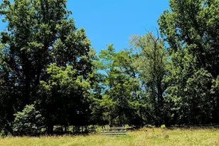 169 E Vineyard Rd, Hayesville, NC 28904 - Photo 52