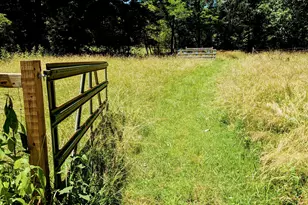 169 E Vineyard Rd, Hayesville, NC 28904 - Photo 2