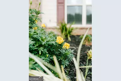296 Highlands Drive, Winterville, GA 30683 - Photo 42