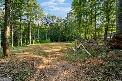 280 Etheridge Road, Auburn, GA 30011 - Photo 68