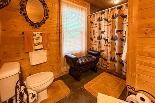 10 Meadow View Ln, Sautee Nacoochee, GA 30571 - Photo 14