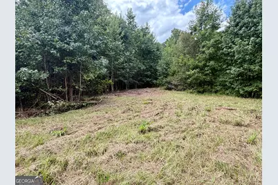 807 Aden Lanier Road, Statesboro, GA 30458 - Photo 20