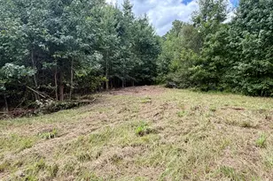 807 Aden Lanier Rd, Statesboro, GA 30458 - Photo 20