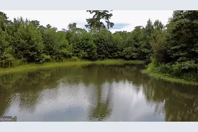 807 Aden Lanier Road, Statesboro, GA 30458 - Photo 10
