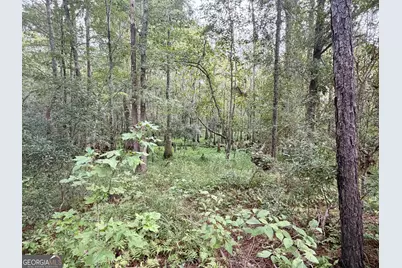 807 Aden Lanier Road, Statesboro, GA 30458 - Photo 18