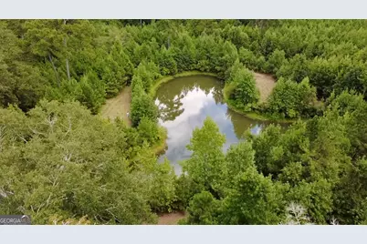 807 Aden Lanier Road, Statesboro, GA 30458 - Photo 12
