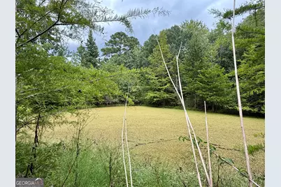 807 Aden Lanier Road, Statesboro, GA 30458 - Photo 22