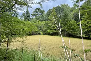 807 Aden Lanier Rd, Statesboro, GA 30458 - Photo 22