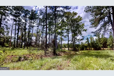 807 Aden Lanier Road, Statesboro, GA 30458 - Photo 14