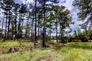 807 Aden Lanier Rd, Statesboro, GA 30458 - Photo 14