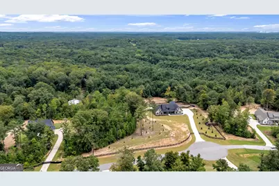 392 Georgian Pines Drive, Senoia, GA 30276 - Photo 74