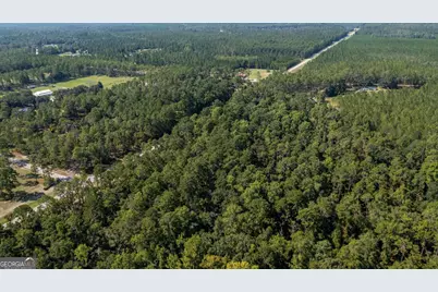 0 Highway 121 #6.7 +OR- ACRES, Folkston, GA 31537 - Photo 6
