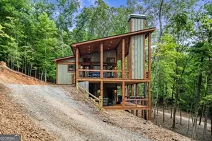 1360 Black Ankle Creek Rd, Blue Ridge, GA 30513 - Photo 16