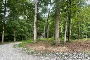 350 Foggy Creek Ln, Clarkesville, GA 30523 - Photo 102