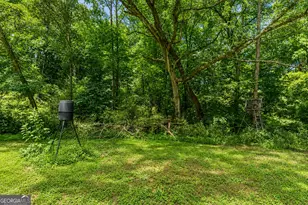 235 Brooks Rd, Pendergrass, GA 30567 - Photo 24