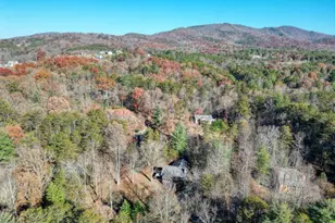 541 Rizzitello Ln, Blairsville, GA 30512 - Photo 42