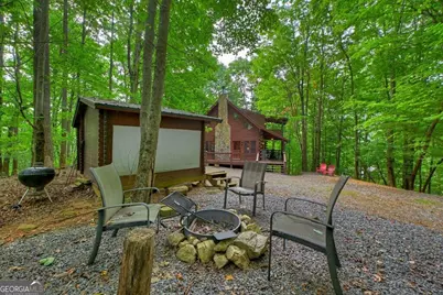 541 Little Bushy Head Road, Blue Ridge, GA 30513 - Photo 12